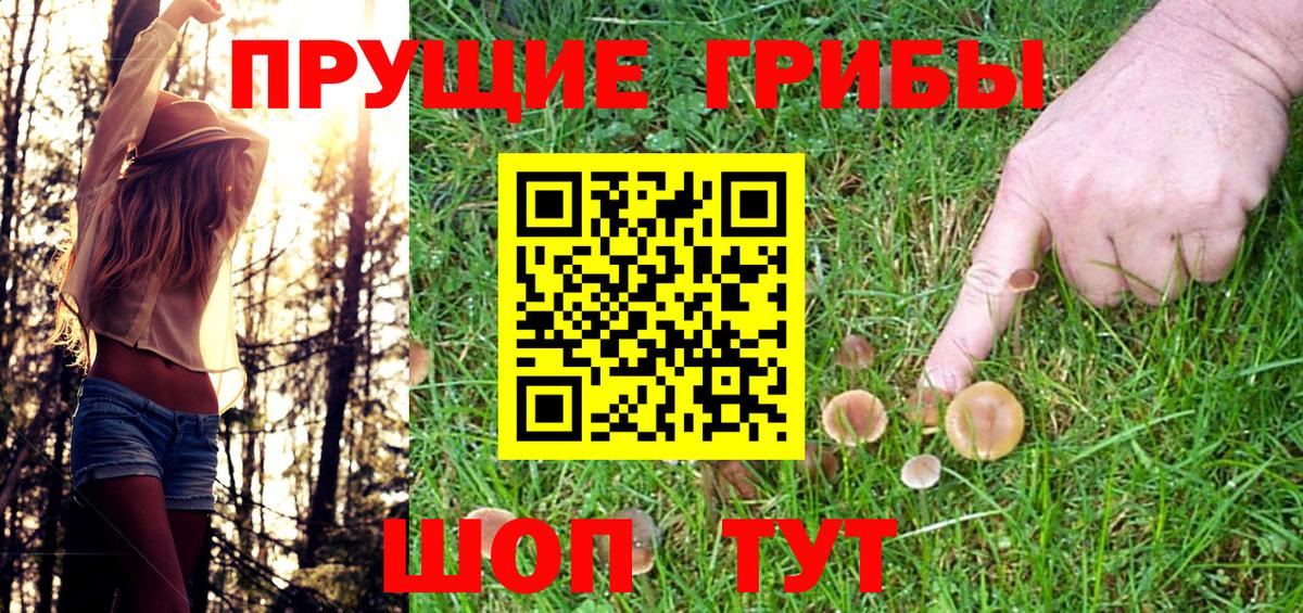 Галлюциногенные грибы прущие грибы Улан-Удэ